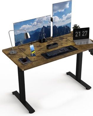 48 * 24 Small Electric Standing Desk, Adjustable Height Sit Stand Up Desk, Motorized Home Office Computer Gaming Workstation Desk
